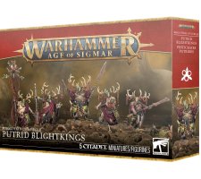 Warhammer Age of Sigmar - Maggotkin of Nurgle: Putrid Blightkings