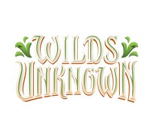 Disney Lorcana - Wilds Unknown Card Box