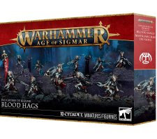Warhammer Age of Sigmar - Daughters of Khaine: Blood Hags