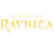 Complete set of Guilds of Ravnica Commons