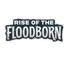 Disney Lorcana - Complete Set Rise of the Floodborn Art Cards