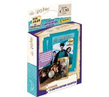 Panini - Harry Potter A Year at Hogwarts Eco Blister