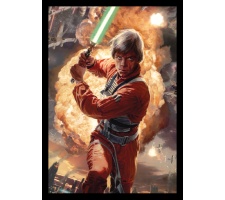 Sleeves Star Wars - Luke Skywalker (50 stuks)