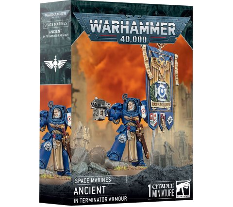 Warhammer 40K - Space Marines: Ancient In Terminator Armour