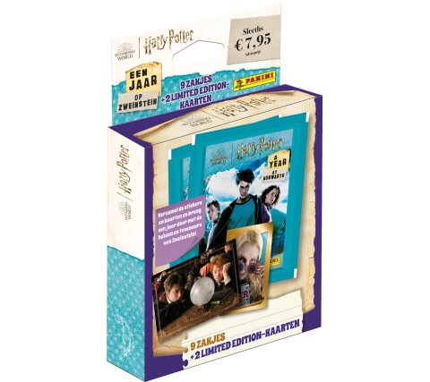 Panini - Harry Potter A Year at Hogwarts Eco Blister