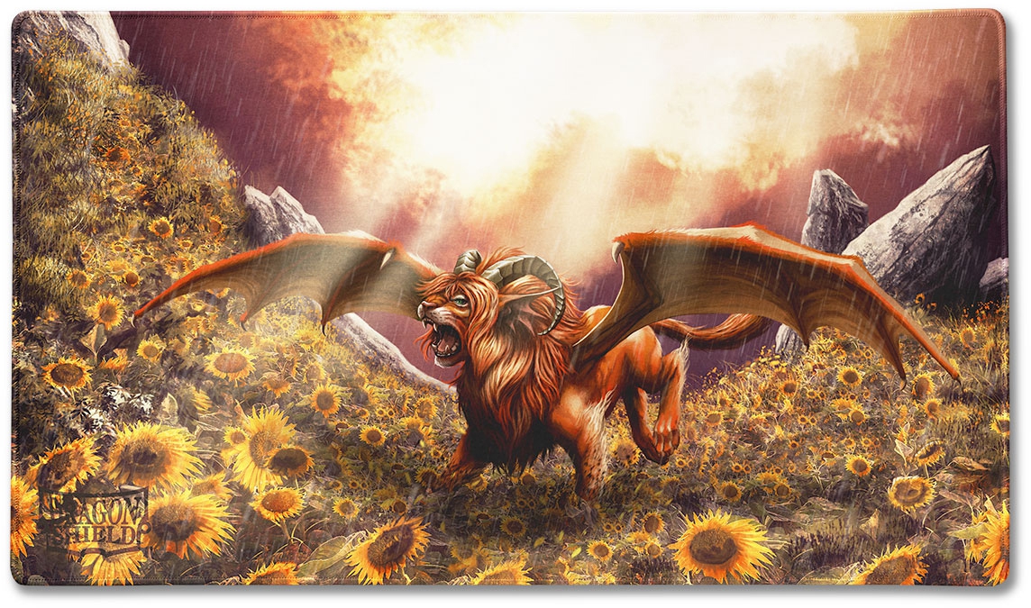 Dragon kinderen 2025 bruin