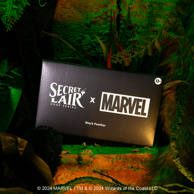 Magic: the Gathering - Secret Lair Drop Series: Secret Lair